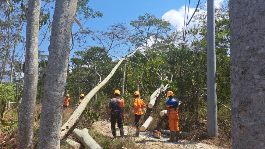 Aksi Babinsa Kopka Ringgo Bantu Evakuasi Tiang Listrik Tumbang