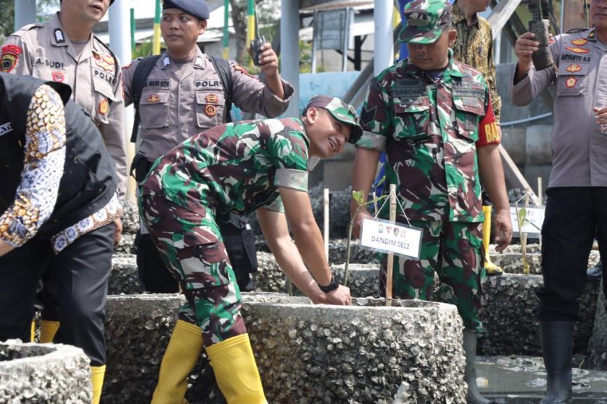 Antisipasi Bencana Tsunami, TNI-Polri dan Pemerintah Lamongan Tanam Mangrove 