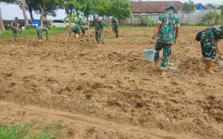 Kodim Lamongan Membangun Kemandirian Pangan melalui Tanaman Jagung