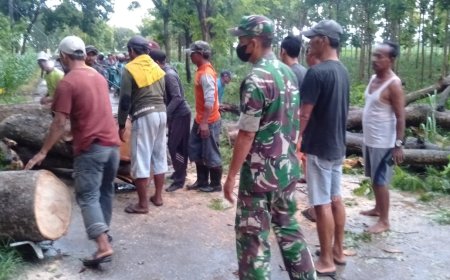 Babinsa 0812/07 Bluluk Gerak Cepat Bantu Evakuasi Pohon Tumbang