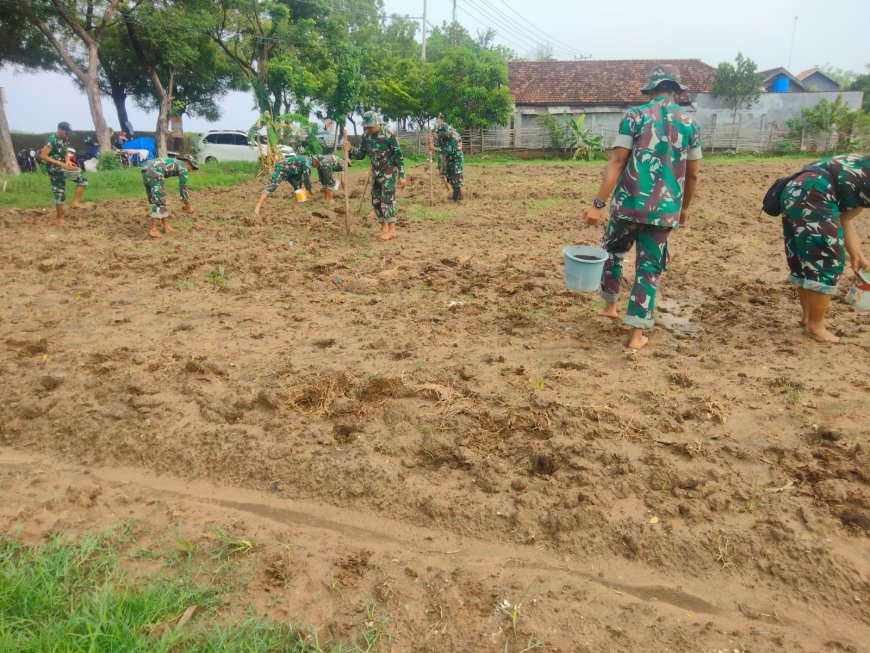 Kodim Lamongan Membangun Kemandirian Pangan melalui Tanaman Jagung