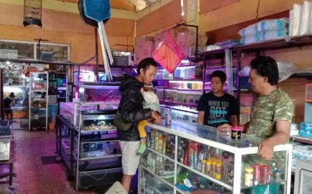 Sukses Bisnis Ikan Hias, Serda Sudarno Anggota Kodim Pasuruan Miliki Omset Puluhan Juta per Minggu