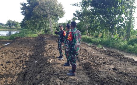 Dari Pembuangan Sampah Jadi Lahan Pertanian : Inovasi Satgas TMMD 119 Kodim Lamongan