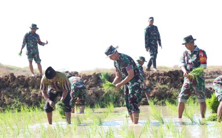 Inovasi Kodim 0812 Lamongan Mewujudkan Ketahanan Pangan Melalui Kampung Pandu