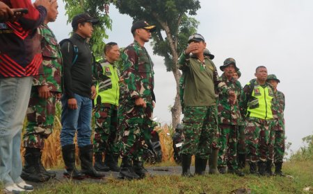 Menjelang Panen Raya, Dandim 0812 Lamongan Lakukan Pengecekan Lahan Jagung