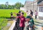 Mayjen TNI Satriyo Pinandoyo Puas dengan Sistem Pertanian Modern Kodim 0812/Lamongan