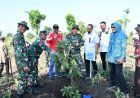 Dandim Ponorogo Bersama Pemkab Gelar Aksi Penghijauan di Ngindeng