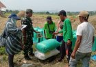 Serapan Gabah di Nganjuk Meningkat, Target Hampir Tercapai