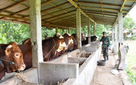 Dandim Ponorogo Tinjau Petani dan Peternak, Dorong Ketahanan Pangan
