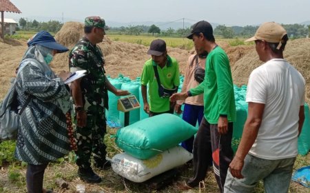 Serapan Gabah di Nganjuk Meningkat, Target Hampir Tercapai